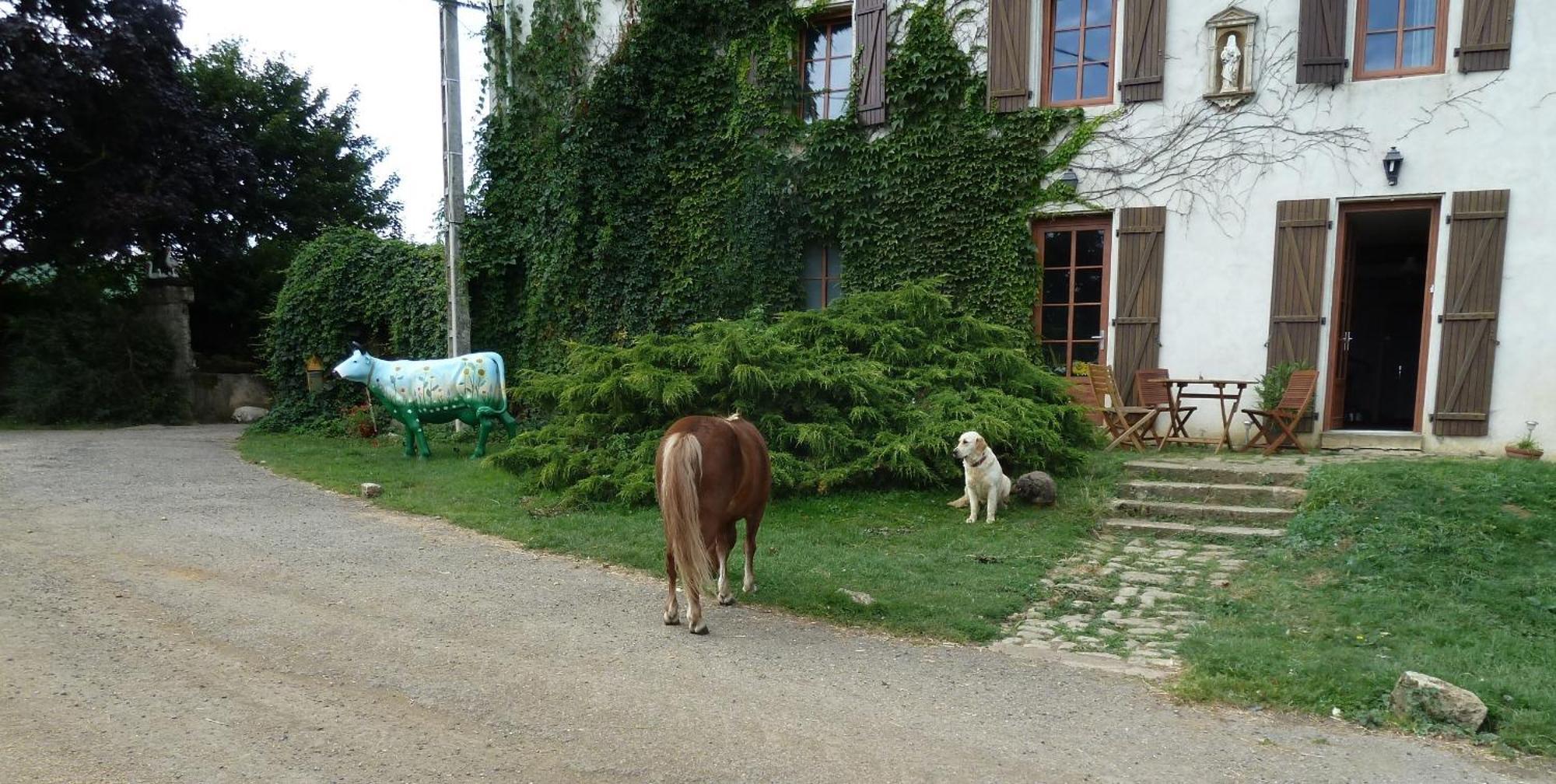 Bed and Breakfast Ferme Du Montheu Dommartin sous Amance Zewnętrze zdjęcie